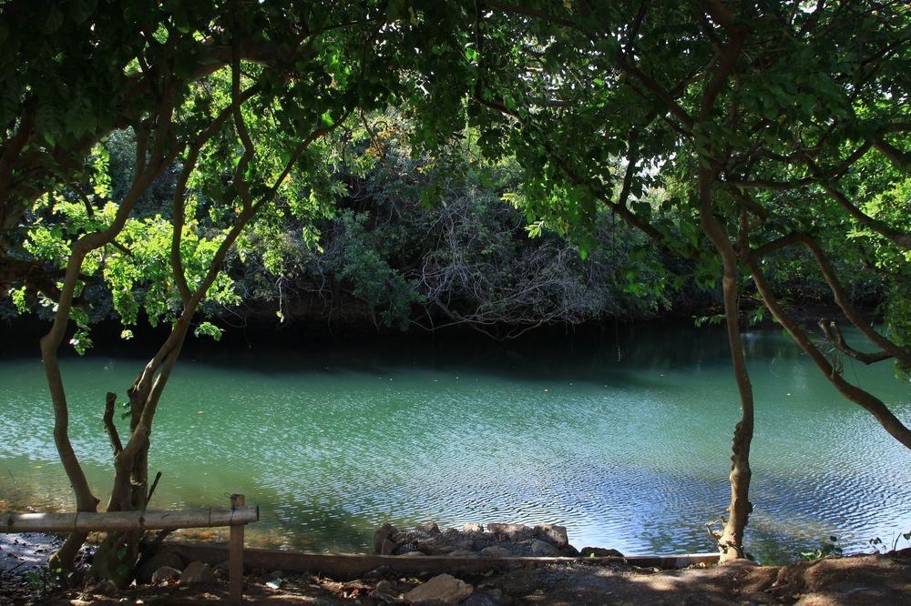 Nativ Lodge Mauritius エクステリア 写真